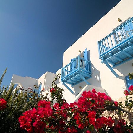 Erato Hotel Mykonos Ornos  Dış mekan fotoğraf
